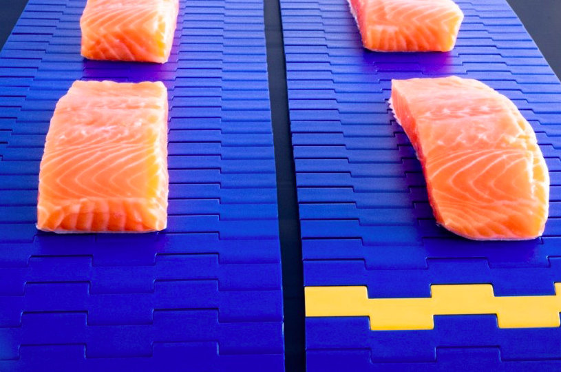 Habasit suggests 3 ways to improve conveyor sanitation in food processing